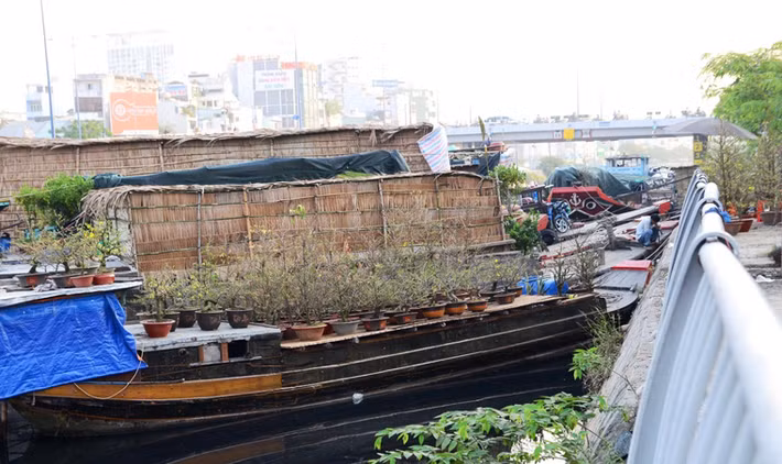 Ghe thuyền tấp nập mang hoa tươi đến từ các tỉnh miền Tây mang lên bán dọc bờ sông đủ loại hoa mai, quất kiểng, vạn thọ, hoa lan, xương rồng...
