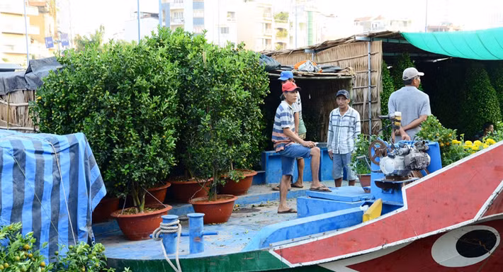 Có những gia đình con cái theo cùng cha mẹ đưa hoa, kiểng lên thuyền về Sài Gòn bán vào dịp Tết.