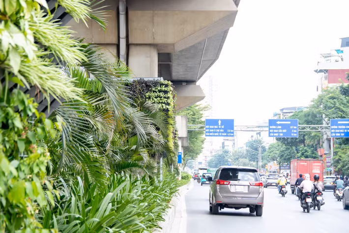 Ở khu vực hầm chui Lê Văn Lương - Tố Hữu, giải pháp phủ xanh được triển khai theo hướng tận dụng không gian dọc thành hầm. Các chậu cây được bố trí thành từng cụm dưới hệ thống lan can, chạy dài khoảng 300 m. Những loại cây có khả năng sinh trưởng dạng rủ được lựa chọn để tạo thành các dải xanh dọc theo thành hầm.