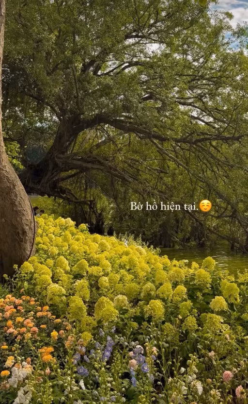 Một story được một dân mạng đăng trên mạng xã hội sau khi ngắm con đường cẩm tú cầu màu xanh tại Hồ Gươm. Ảnh sử dụng trong bài: Facebook Lang Thang Hà Nội/ Đặng Thu Hiềnn/ Đỗ Vân Anh.