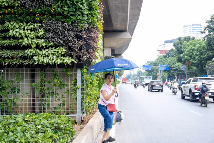 Việc đưa cây xanh vào các công trình giao thông được xem là giải pháp tận dụng những không gian hạ tầng sẵn có để bổ sung mảng xanh cho đô thị. Trong điều kiện quỹ đất dành cho không gian công cộng tại khu vực nội đô còn hạn chế, việc khai thác các vị trí như chân trụ cầu, mái taluy, thành hầm chui hay nhà chờ xe buýt mở ra thêm hướng cải thiện cảnh quan mà không cần tạo lập những khu đất xanh mới.