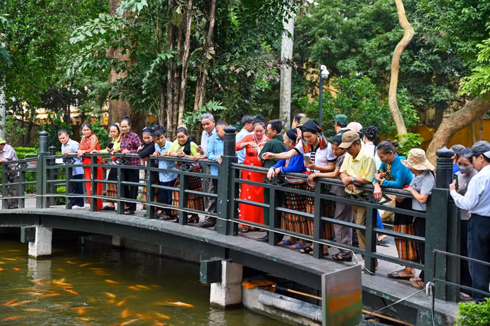 Bên cạnh Di tích Nhà sàn là ao cá bác Hồ.