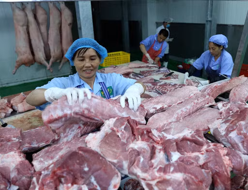 Gia heo hoi hom nay 19/3: Cao nhat 85.000 dong/kg, lai 3 trieu/con