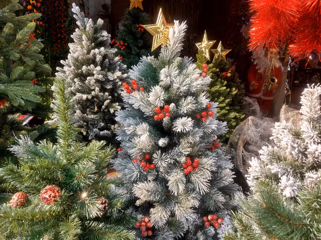 Cận kề Giáng sinh, giá cây thông Noel 'mỗi nơi một kiểu' Can ke Giang sinh, gia cay thong Noel 'moi noi mot kieu'