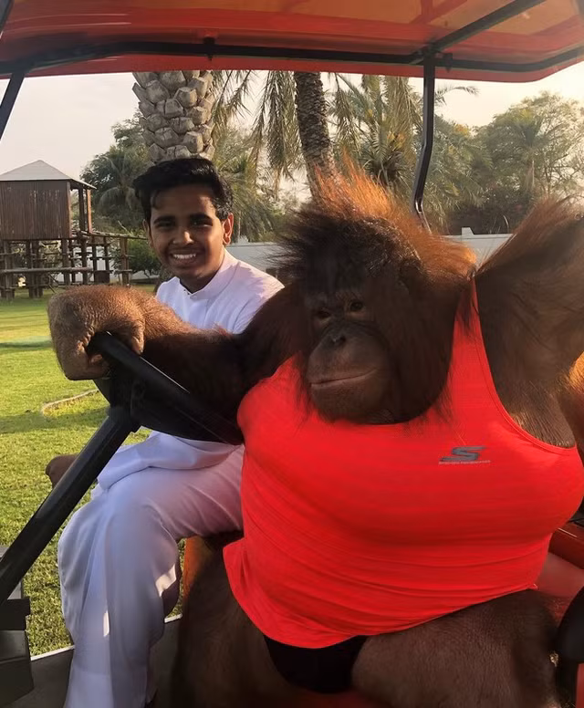 Ngoai tay choi giay noi tieng, rich kid 10X Dubai con so huu vuon thu mini-Hinh-11