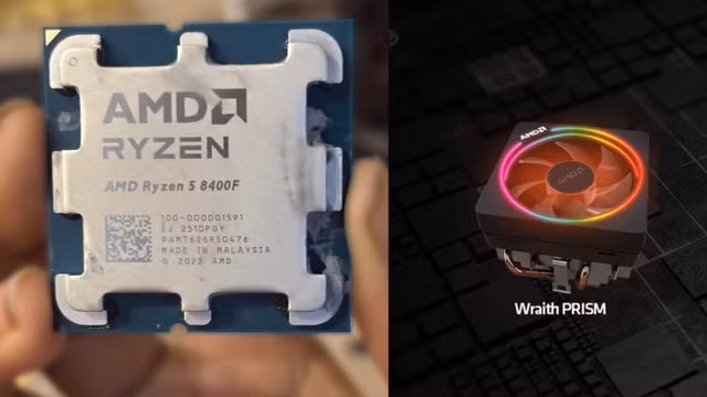 chip-1.png