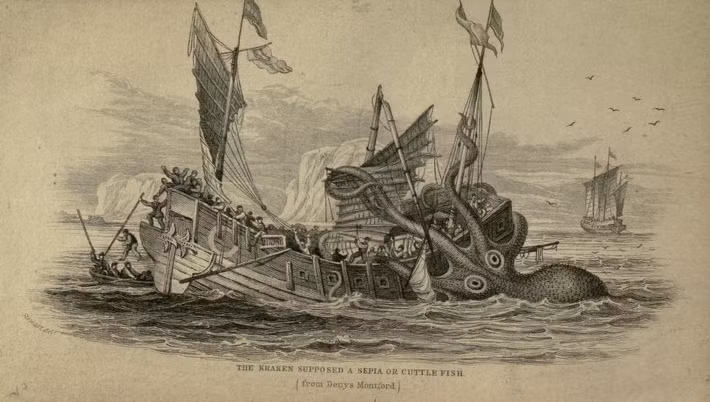 Được biết, Kraken xuất hiện trong những ghi chép từ thời vua Sverre của Na Uy vào năm 1180, với hình dạng được mô tả giống như một con mực khổng lồ.