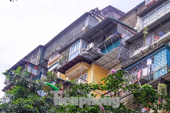 Chuồng cọp ở đây đều được kiên cố bởi hàn sắt quây rào tôn.