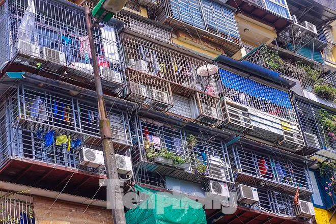 Do không xử lý nghiêm từ đầu của cơ quan chức năng nên hàng loạt "chuồng cọp" đua nhau mọc lên theo kiểu "nhà này làm được thì nhà kia cũng làm được".