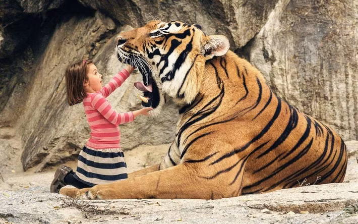 Công việc của tuổi Dần hôm nay giảm sút, do thói quen xấu ảnh hưởng đến hiệu quả. May mắn là tài lộc vẫn nghiêng về phía con giáp, việc kiếm tiền dễ dàng giúp áp lực kinh tế giảm đi nhiều.