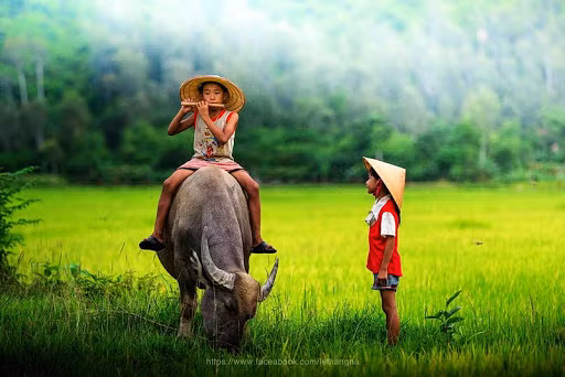  Tuổi Sửu: Nhờ được bạn bè, cộng sự giúp đỡ nên bạn thu hoạch được nhiều món thu nhập khá béo bở. Cấp trên khẳng định công lao và đóng góp của bạn khiến con giáp này có thêm động lực phấn đấu. Nếu được, cố gắng thu xếp thời gian hâm nóng tình cảm với nửa kia. 