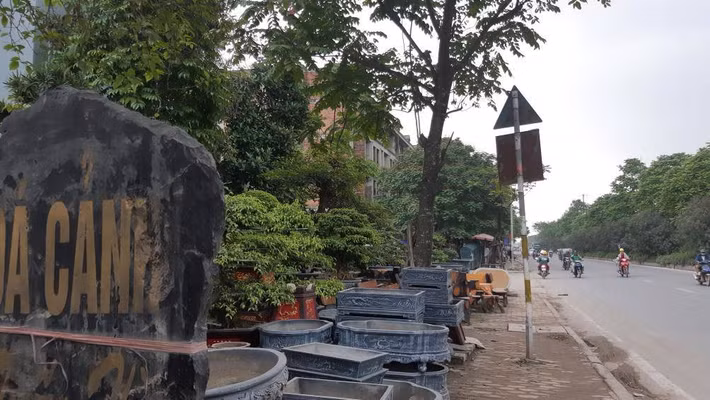 Rất nhiều cây cảnh, chậu cảnh cũng được trưng bày trên vỉa hè.