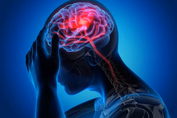 Nhiễm độc chì có thể gây tổn thương hệ thần kinh, hệ tiêu hóa, hệ sinh dục, hệ tim mạch, gan, thận và các cơ quan khác. Nhiễm độc chì gây đau bụng, thiếu máu, mệt mỏi, trầm cảm, cao huyết áp, đau khớp,...