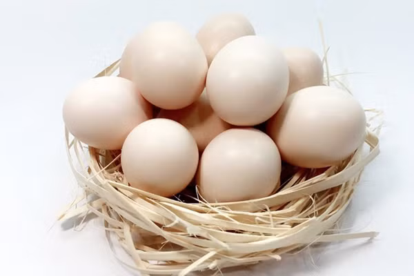 Để món ngon an toàn sức khỏe, bạn nên lựa chọn trứng tươi cho gia đình. Chú ý quan sát phần vỏ, nếu trứng vỏ dày, kích thước vừa phải thì thường tươi hơn so với loại quả mỏng và to. Bạn cũng nên ưu tiên chọn quả có lớp vỏ ram ráp, cứng, nhìn kỹ có lớp phấn mỏng bao quanh.