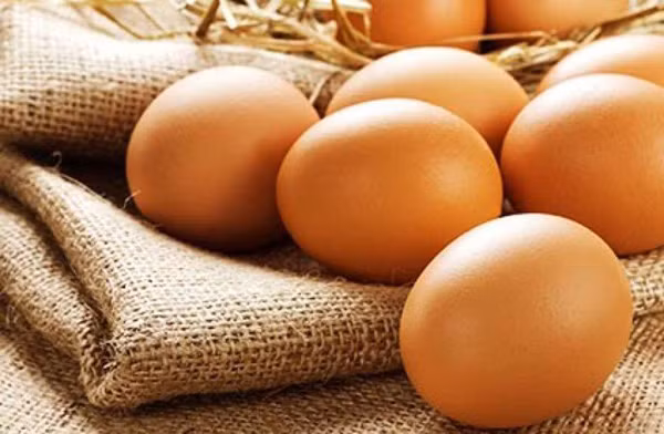 Ngoài ra, quá trình chăm sóc cũng có thể tác động khiến vỏ trứng có nhiều chấm “tàn nhang”. Nhất là khi lượng canxi trong thức ăn quá nhiều mà thiếu hụt vitamin A thì dễ gây nên hiện tượng này.