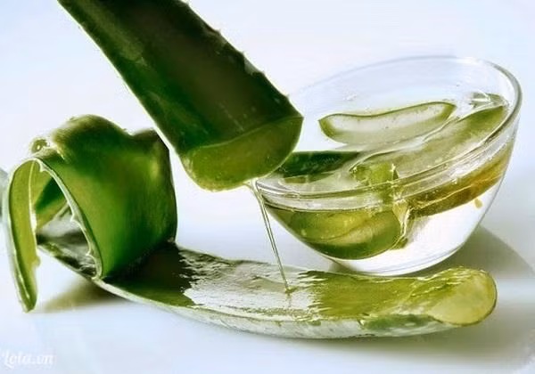 Ngoài mật ong, bạn có thể kết hợp rau má với nha đam - một “thần dược” làm đẹp khác cũng được sử dụng rất phổ biến tại Việt Nam và trên thế giới. Ảnh: nuoclavie.