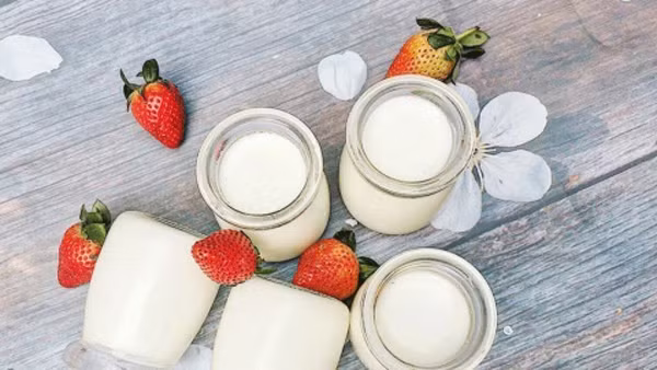  Lợi ích của việc ăn sữa chua thường xuyên rất rõ ràng. Đặc biệt, có 4 nhóm người luôn được khuyến khích ăn sữa chua, càng ăn sữa chua càng có lợi.