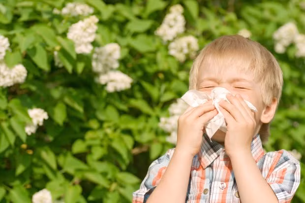 Mọi nơi trên thế giới đều có những chất gây dị ứng. Ảnh: cbc.
