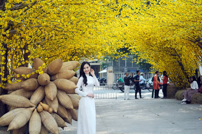 Các cô gái trẻ trong tà áo dài truyền thống, tạo dáng bên gốc mai vàng khoe sắc trong khung cảnh Tết xưa. 