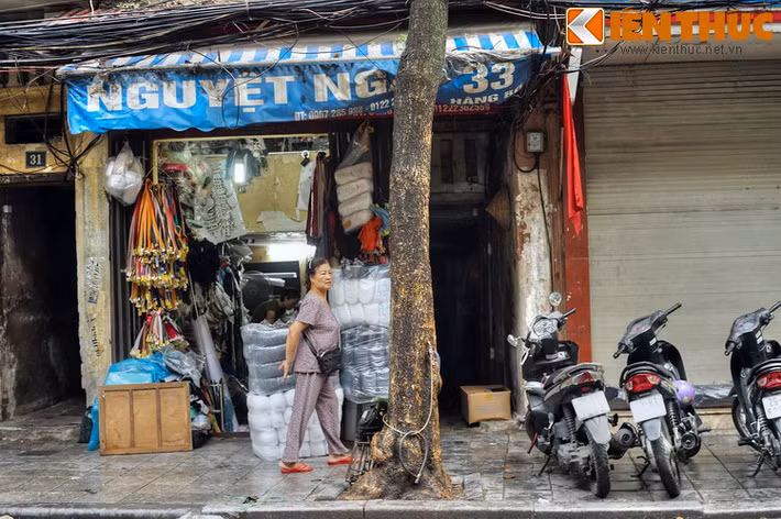 Đây nguyên là đất thôn Xuân Yên, tổng Thuận Mỹ thuộc huyện huyện Thọ Xương cũ. Gọi là Hàng Bồ vì ở đoạn giữa phố, cho tới đầu thời Pháp thuộc là nơi tập trung những cửa hàng bán các thứ bồ đan bằng tre nứa.