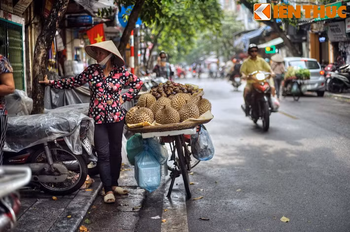 Theo các sử liệu cũ, ở phố Hàng Bồ xưa còn có nhiều dinh cơ của các quan lại, đến mức đương thời đã gọi phố này là “Ô Y hạng” tức “Ngõ áo đen”.