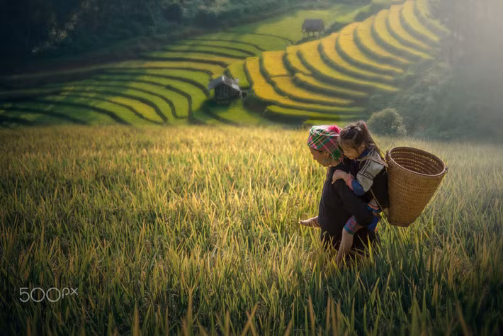 Hai mẹ con trên ruộng bậc thang. Ảnh: Sirisak Baokaew / 500px.com.