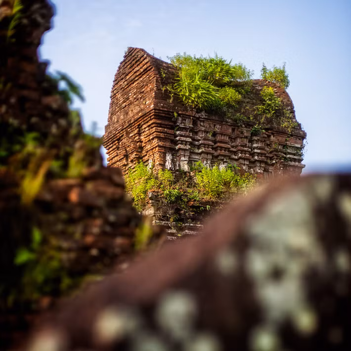 Màu xanh của thiên nhiên trên phế tích. Ảnh: Alex Stoen / 500px.com.
