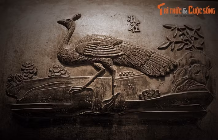 Nhân đỉnh, chiếc đỉnh thứ hai trong Cửu Đỉnh có hình tượng “Khổng tước”, nghĩa là chim công. Trong Sách Đỏ Việt Nam, chim công nằm trong diện Nguy cấp. Số lượng của chúng đã giảm mạnh trong thiên nhiên do bị săn bắn bừa bãi và mất môi trường sống.