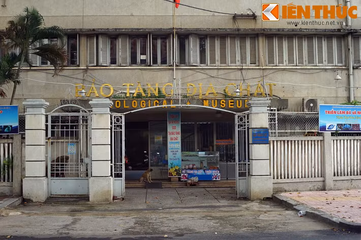 Nằm ở số 2, đường Nguyễn Bỉnh Khiêm, cạnh Thảo Cầm Viên Sài Gòn, Bảo tàng Địa chất TP HCM là một điểm tham quan lý thú dành cho những người thích khám phá thế giới tự nhiên.
