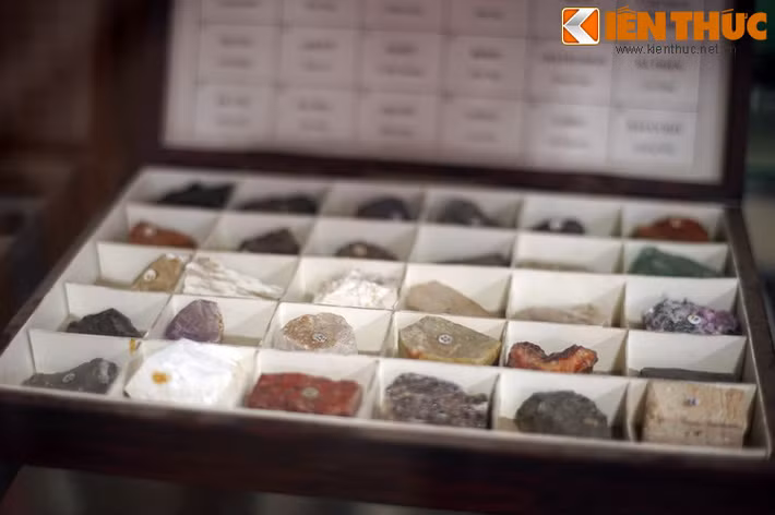 Ngắm nhìn những mẫu vật của Bảo tàng, du khách như lạc vào một thế giới khác để trôi theo dòng chảy tiến hóa địa chất của lãnh thổ Việt Nam từ hàng tỉ năm về trước cho đến nay.