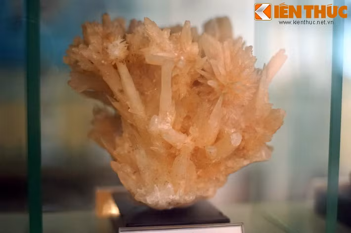 Trông như một tảng san hô được đưa lên từ lòng biển, nhưng khối aragonit phân nhánh lại là một tạo vật của lòng đất. Mẫu vật địa chất độc đáo này được tìm thấy ở Vĩnh Thịnh, Lạng Sơn năm 1975.