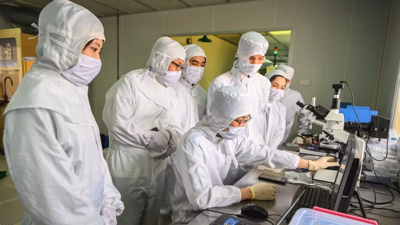 Việt Nam có 121 nhà khoa học trong top 2% ảnh hưởng nhất thế giới năm 2026
