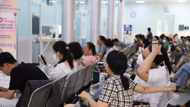 Dịch bệnh não mô cầu nhóm B tại TP.HCM, Trường học siết chặt phòng chống