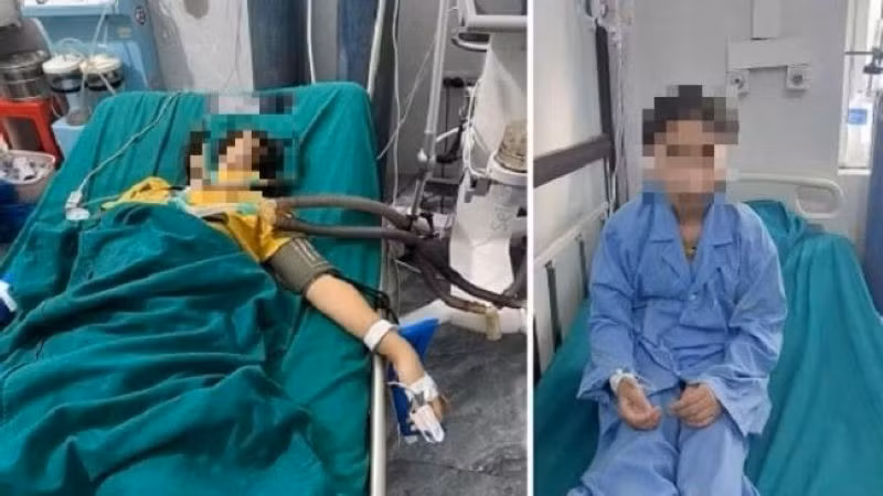 Cảnh báo về nguy cơ ngộ độc thực phẩm từ nguyên liệu tự nhiên