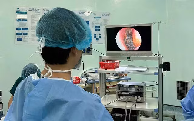 Ảnh: CDC Đồng Nai
