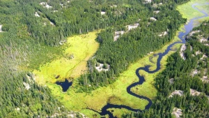 Khám phá vùng đất thiêng liêng Pimachiowin Aki của Canada