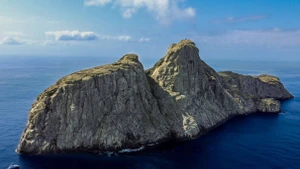 Hệ sinh thái độc đáo của Malpelo trong lòng Thái Bình Dương