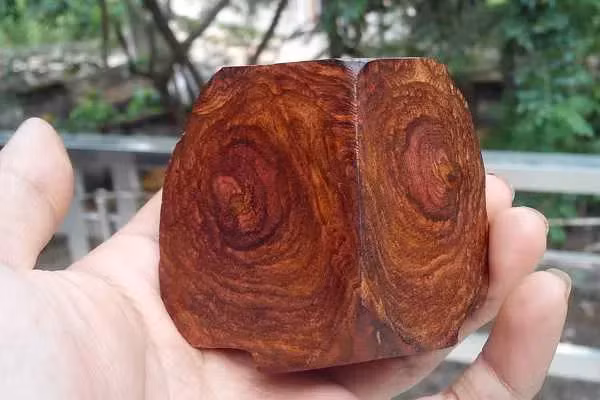Sưa đỏ được sử dụng trong sản xuất đồ gỗ đắt giá, đồ phong thủy và các sản phẩm tôn giáo.(Ảnh: Space T)