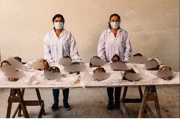 Hàng trăm hài cốt của những đứa trẻ đã được tìm thấy ở một di tích khảo cổ thuộc làng Huanchaquito, ven biển Peru. Những bộ xương có niên đại khoảng hơn 500 năm đang tiết lộ một sự thật khủng khiếp: Tất cả những đứa trẻ ở đây đều bị giết trong một nghi lễ hiến tế chưa từng có trong lịch sử thế giới.