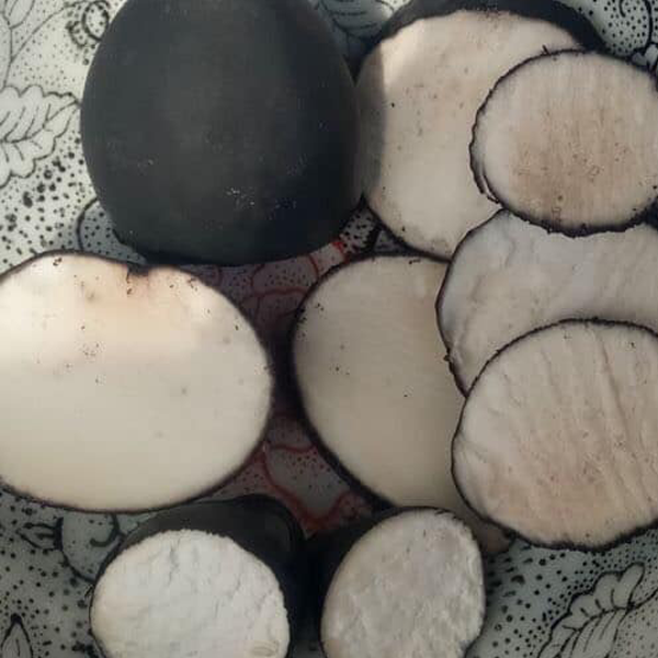 Hơn nữa, trong sâm Ô linh có chứa nhiều nguyên tố vi lượng như polysacarit, protein, sắt, mangan và selenium tin. Hoạt chất Selenium có thể ức chế tế bào ung thư và có tác dụng chống ung thư.