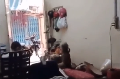 Theo người đăng tải đoạn clip thì sự việc xảy ra tại một căn nhà nằm trên đường Võ Văn Kiệt, phường Cầu Kho (quận 1, TP HCM), bà cụ bị chính cháu ngoại của mình hành hung.