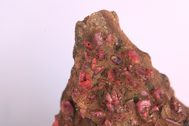 Ban đầu, anh tưởng đó là một khúc gỗ mục nát, nhưng sau khi rửa sạch lớp bùn đất, viên đá lộ ra vẻ đẹp rực rỡ với màu đỏ và các đường vân tự nhiên.(Ảnh: Dân việt)