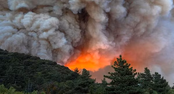 Những đám mây này lớn đến mức còn làm ảnh hưởng đến thời tiết, tạo ra sét và khiến cho bầu trời có nhiều màu sắc khác nhau. Khói cháy rừng chứa các hạt nhỏ độc hại đe dọa đến sức khỏe của con người.