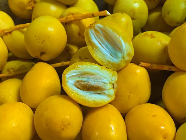 Người Trung Đông khi ra ngoài có thói quen đem theo vài quả chà là trong túi để bổ sung năng lượng, đặc biệt trong những trường hợp nguy cấp.