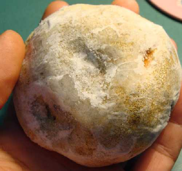 Theo kinh nghiệm dân gian, loại nấm này có tác dụng bồi bổ, tăng cường sức khỏe, lợi tiểu tiêu độc. Người dân thường sử dụng trong các trường hợp người mới ốm dậy, người có sức khỏe yếu…