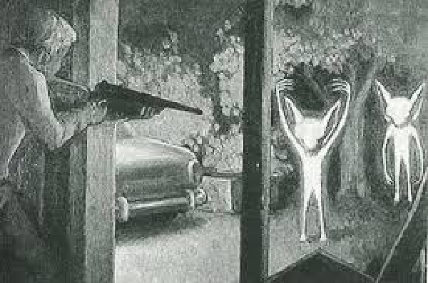 Theo lời kể của các nhân chứng, người ngoài hành tinh cao 0,9m, tai nhọn, móng dài, chân và tay mỏng. Những sinh vật ngoài Trái đất này có màu bạc. Mặc dù không bước vào bên trong nhà nhưng những người ngoài hành tinh xuất hiện ở cửa sổ và cửa ra vào khiến những người trong nhà hoảng loạn.