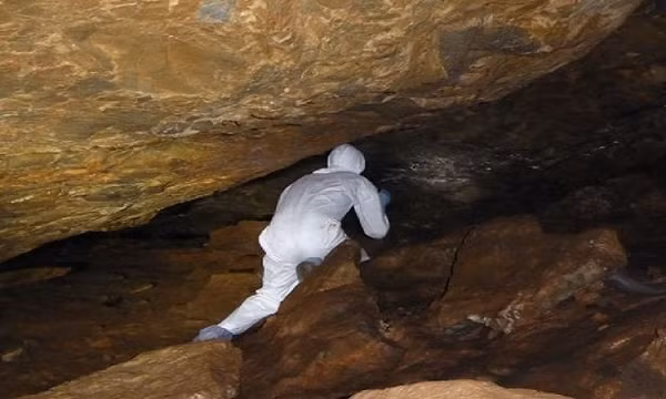 Giáo sư Lawrence Young, nhà virus học tại Đại học Warwick, cho rằng giả thuyết virus rò rỉ trong phòng thí nghiệm vẫn “không thể bị loại trừ”.