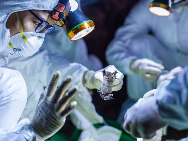 Giáo sư David Livermore - nhà vi sinh vật học tại Đại học East Anglia, nói rằng mặc dù ông tin rằng giả thuyết viurs rò rỉ từ phòng thí nghiệm không chắc là nguồn gốc của đại dịch, nhưng vẫn có “một số sự trùng hợp đáng chú ý”.