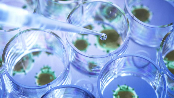 AY.4.2 được phát hiện trong bối cảnh số ca Covid-19 tại Anh lần đầu tiên vượt qua ngưỡng 50.000 ca mới/ngày kể từ tháng 7. Điều này khiến một số người nghi ngờ nó có thể là tác nhân góp phần gieo rắc của khủng hoảng y tế đang lớn dần tại xứ sở sương mù.