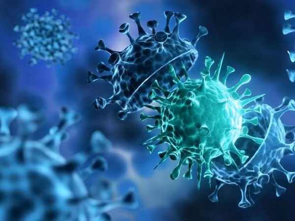 Khác với Delta, biến thể AY.4.2 mang thêm một đột biến bổ sung có tên là K417N có khả năng thay đổi protein gai và lây nhiễm cao sang các tế bào khỏe mạnh.